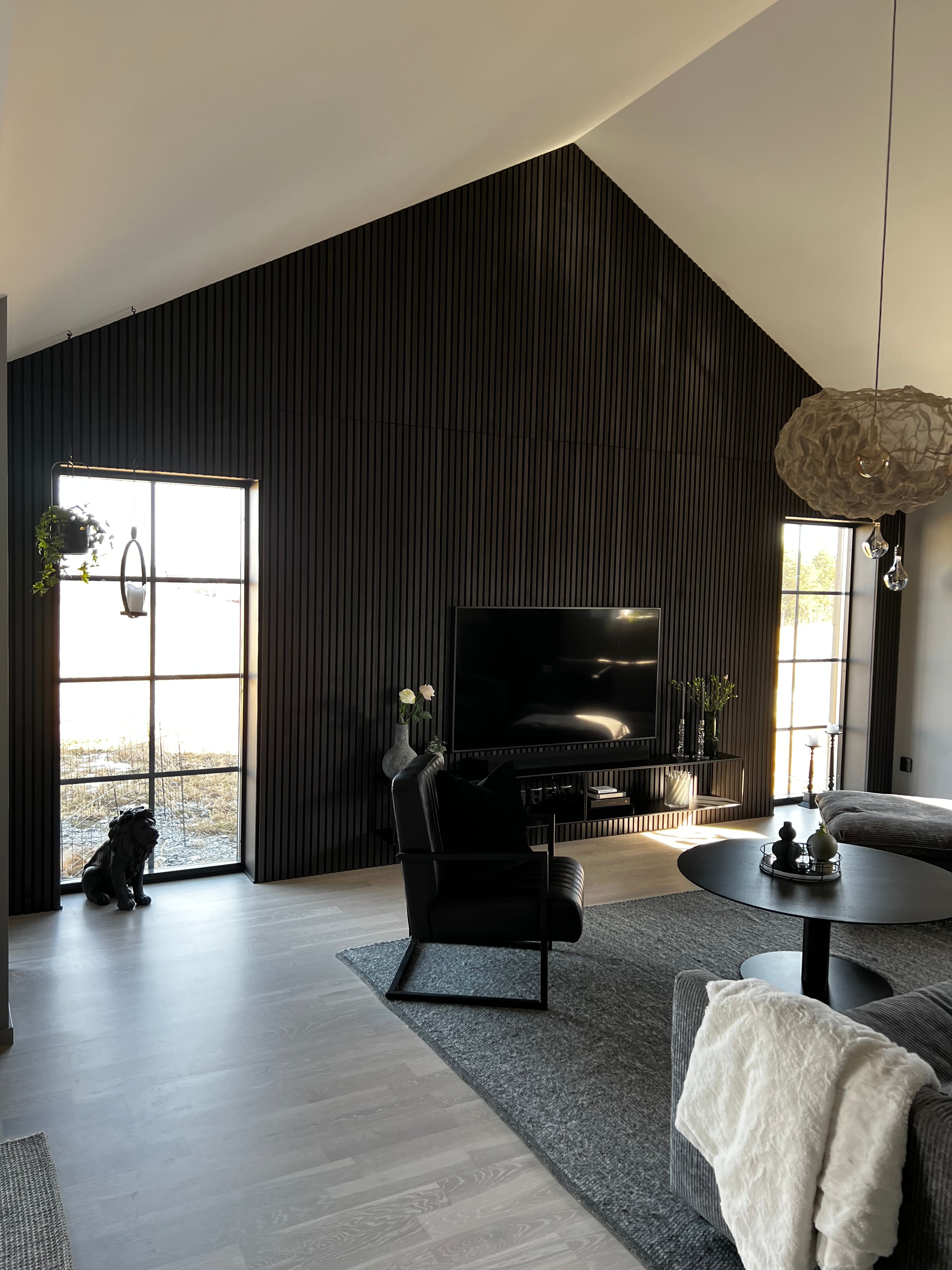 Black Akupanel acoustic slat wall panels on pitched interior wall with TV and windows