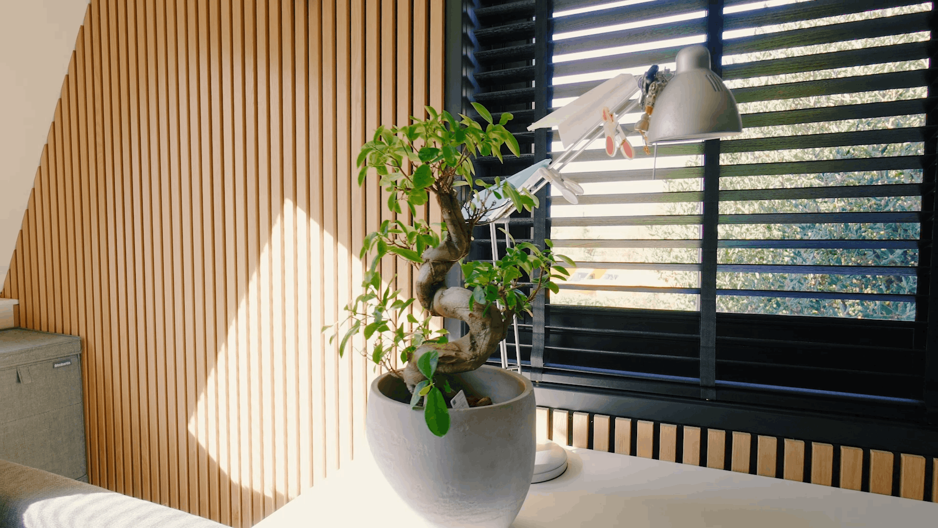 Akupanel light wood acoustic slat wall panels beside black horizontal window slats and a potted plant