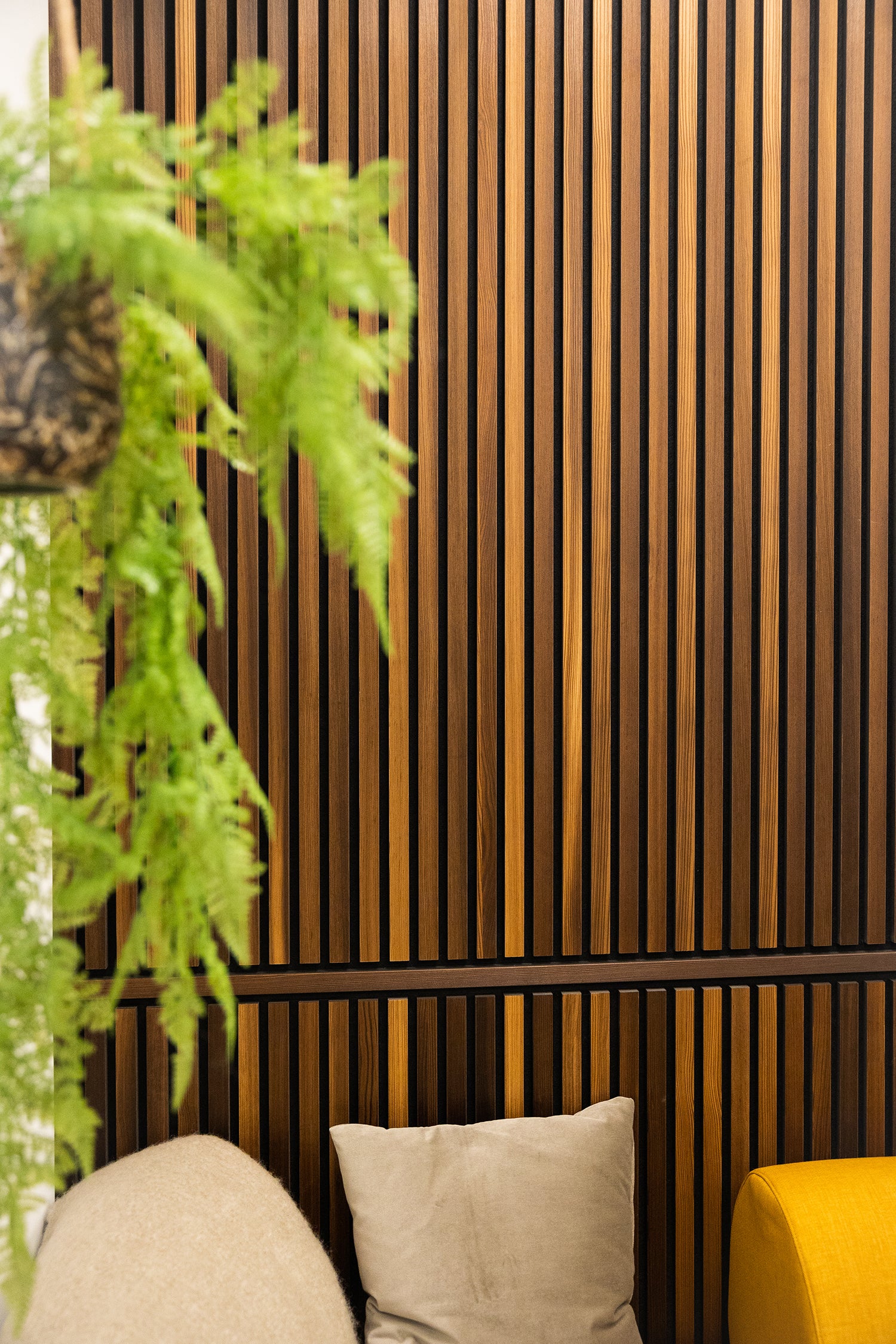 Wood Akupanel acoustic slat wall panels on black backing with blurred hanging plant and cushions